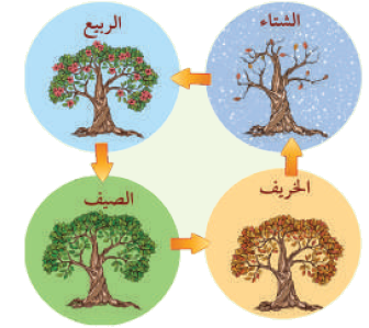  أُبَرْهِنُ عَلَى قُدْرَةِ اللهِ تَعالى عَلى الإِحْياءِ بَعْدَ المَوْتِ